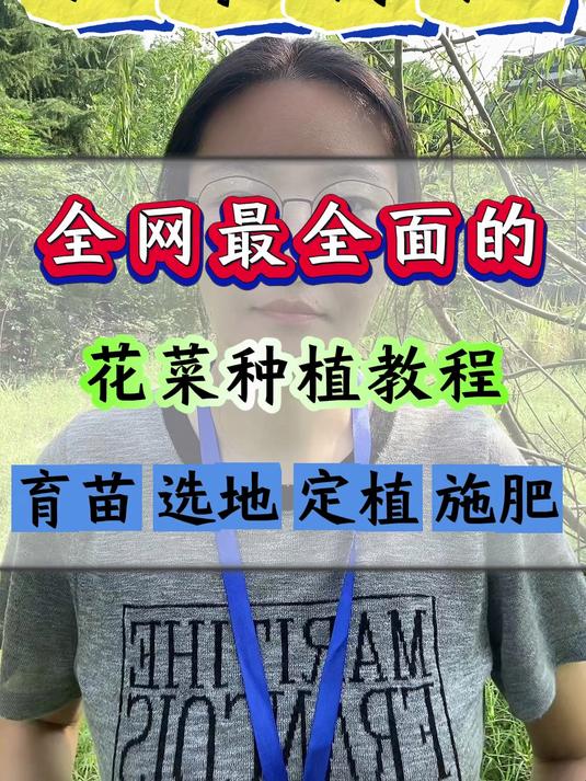 全网最全面的花菜种植教程