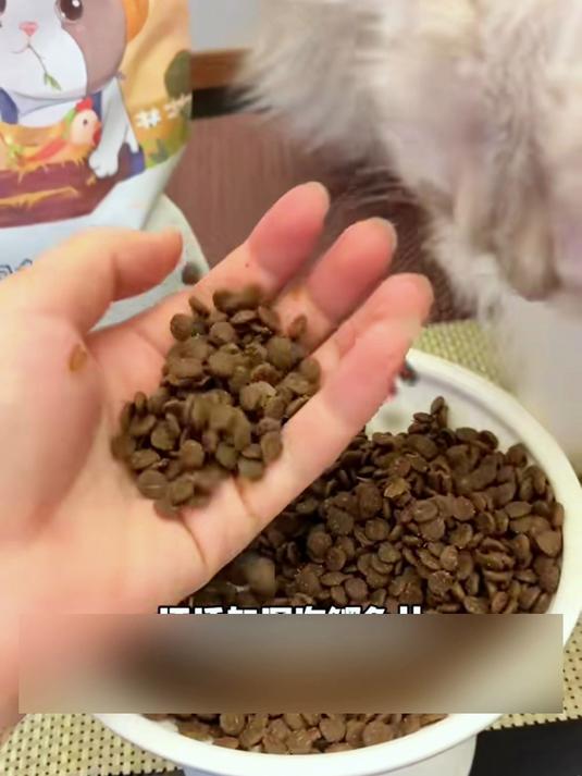香喷喷的江小傲鲜肉猫粮来了,添加了鲣鱼片,口感很好