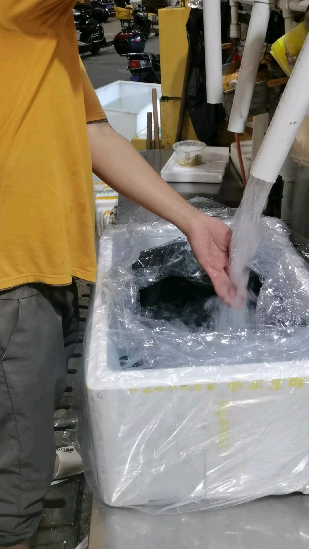 原来海鲜空运是这样打包的