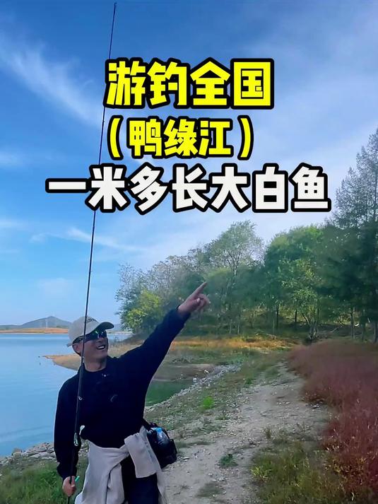 游钓全国(鸭绿江),一米多长大白鱼