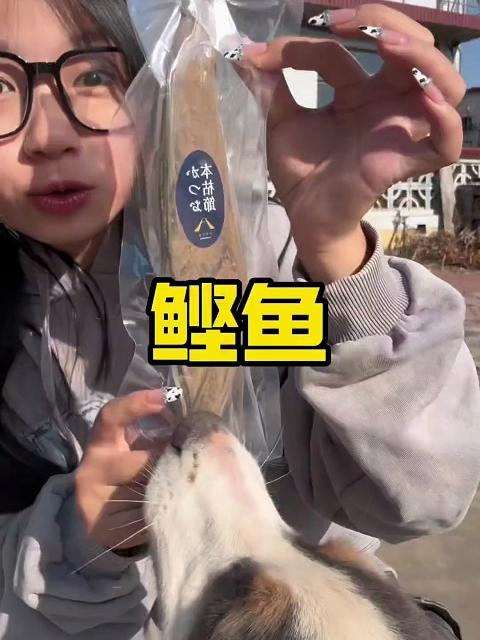 世界上最硬的鲣鱼