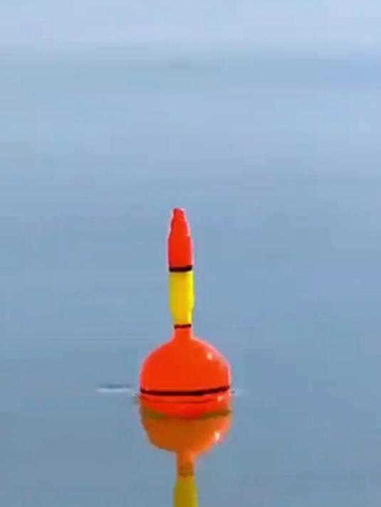正品白鲨三代方块饵 浓酸腥臭高穿透 水库江河浮钓大头鱼雾化饼料#白鲨三代饵料#