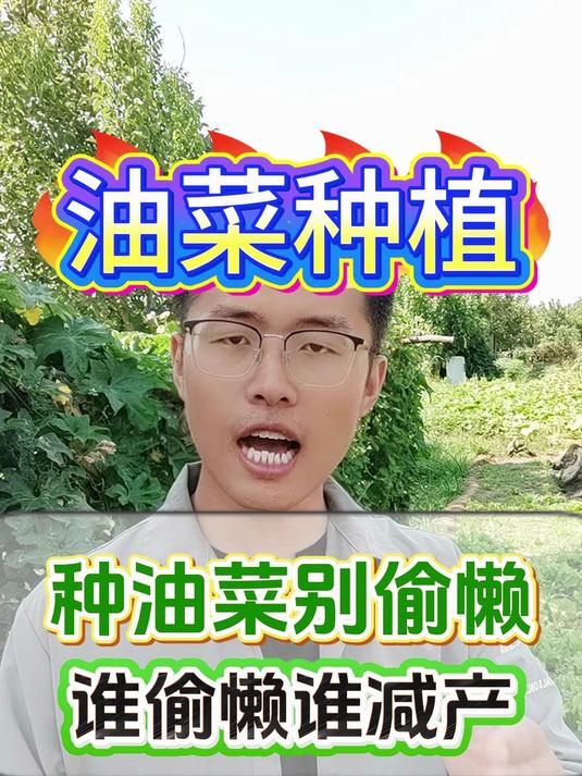 种油菜别偷懒,谁偷懒谁减产!