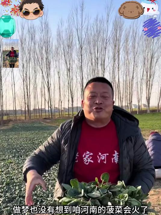 ‘趴’出好味道，‘菜’有真营养——趴地菠菜，自然更美味！