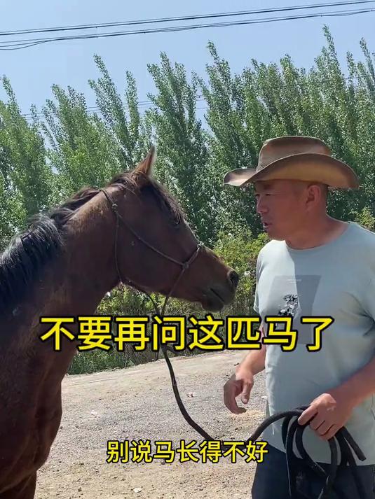 喂胖喽训练,打一场比赛再说