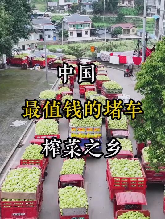 不咸不辣鲜脆可口的涪陵榨菜还是小时候的味道#榨菜