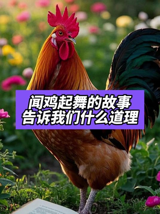 闻鸡起舞的故事告诉我们什么道理