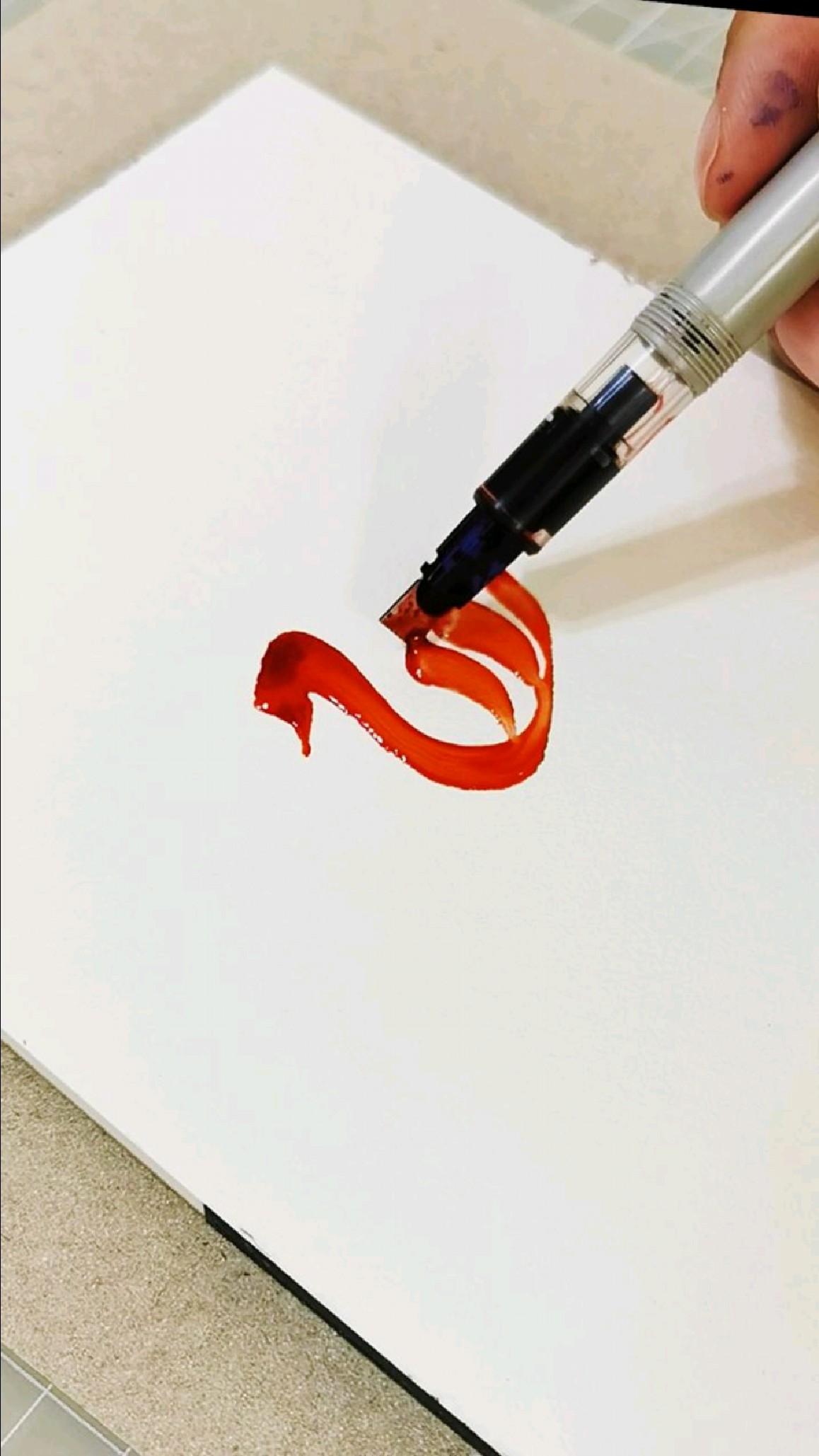 画了一只小天鹅