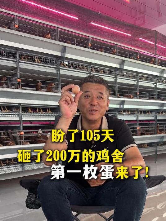 千呼万唤始出来，第一枚鸡蛋终于出来了，证明前期的所有工作没有白费#鸡蛋##现代化鸡舍##生