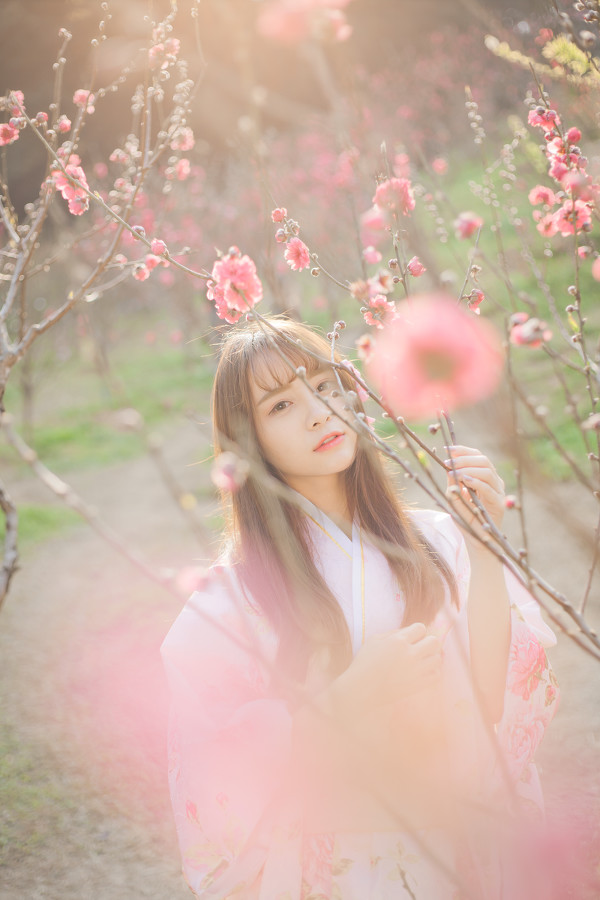 图片[6]-桃花。和服-六色网