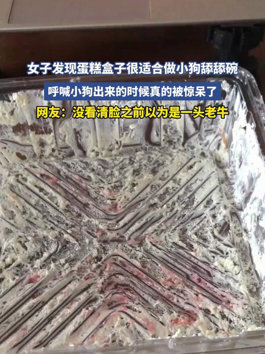女子发现蛋糕盒子很适合做小狗舔舔碗,小狗出来时真的被惊呆了