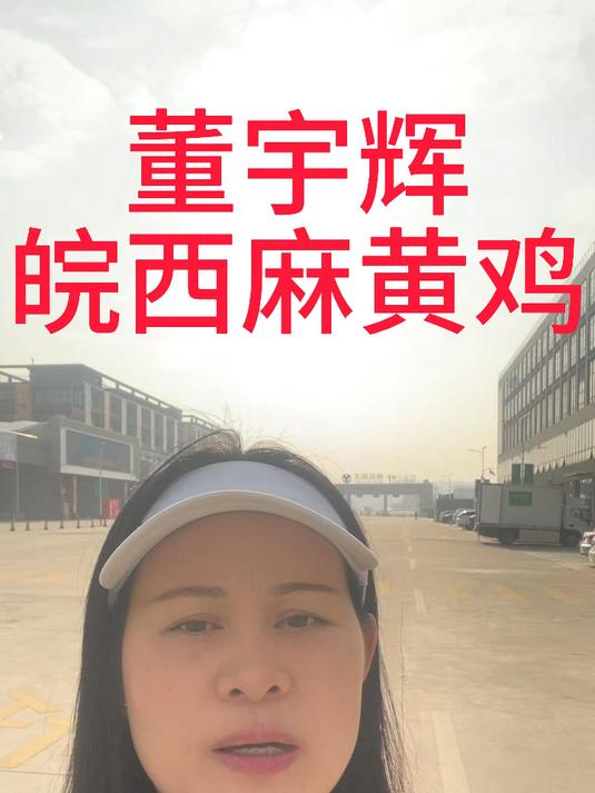 董宇辉直播间“皖西麻黄鸡”89块钱3只贵吗?