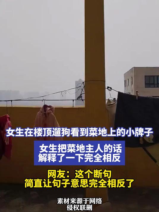 女生在楼顶遛狗看到菜地上的小牌子 女生把菜地主人的话解释了一下完全相反 网友：这个断句，简