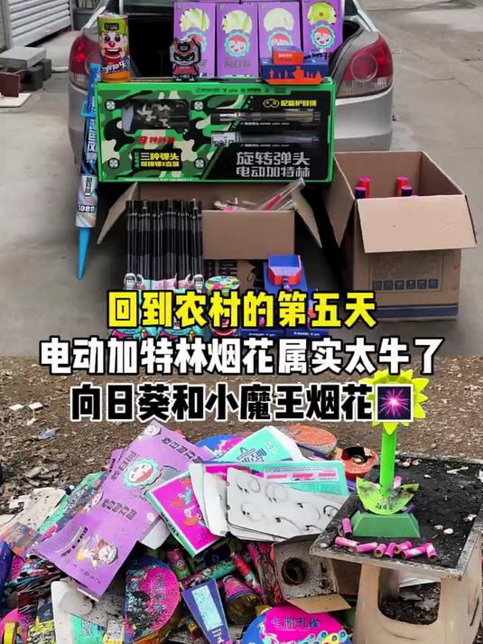 回到农村的第五天电动加特林烟花属实太牛了