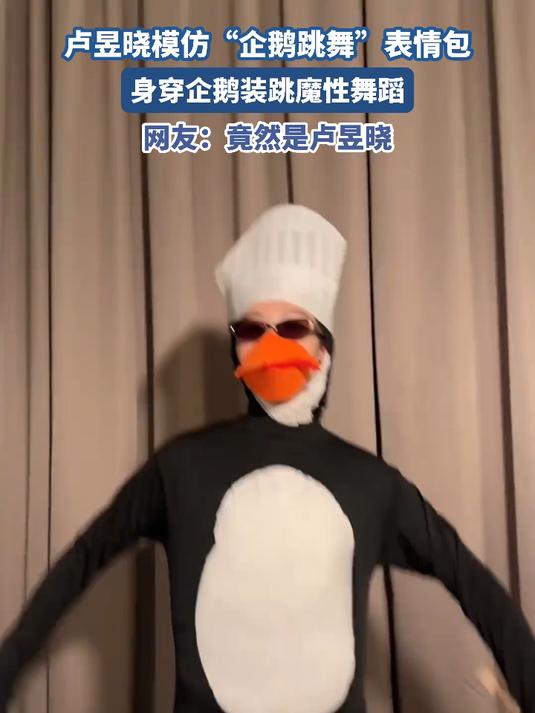 卢昱晓模仿“企鹅跳舞”表情包,身穿企鹅装跳魔性舞蹈