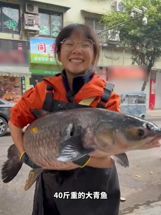 40斤大青鱼集市摆摊售卖，鱼头含青鱼石引发高价争抢，这鱼能卖多少钱？#榜单冲锋赛#