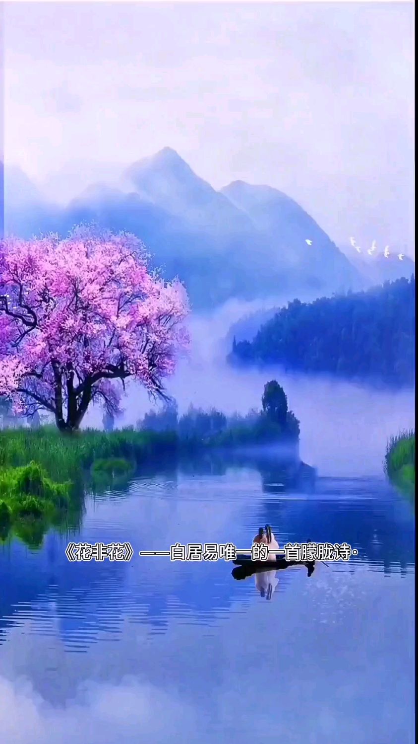 《花非花》—白居易唯一的一首朦胧诗