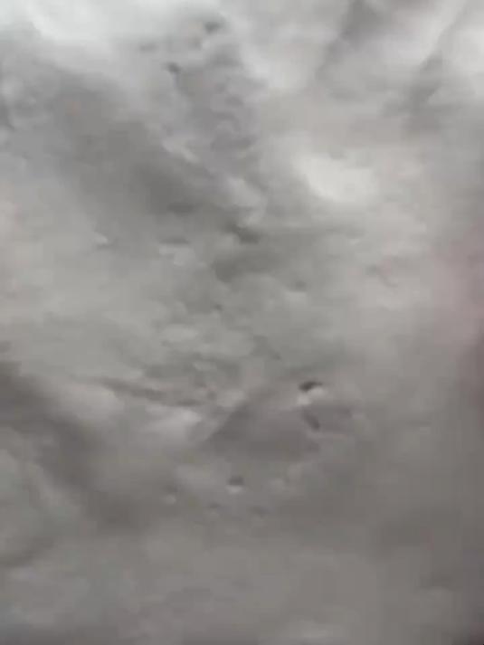 粘土手工diy海岸主题的盘子 粘土鹞鲼海星盘子