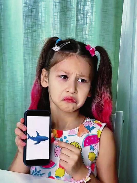 如果你想要鲨鱼玩具？