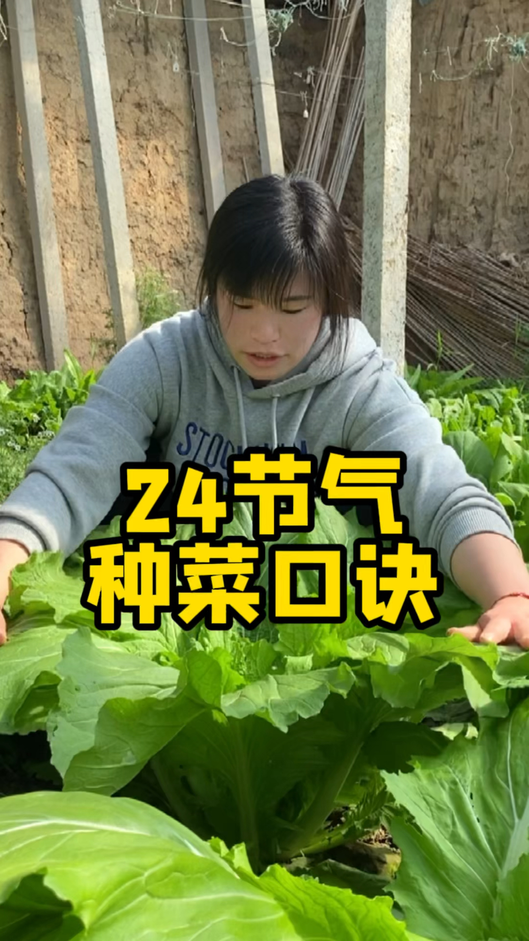 二十四节气种菜口诀,不管你种不种菜,一定要知道#种菜口诀