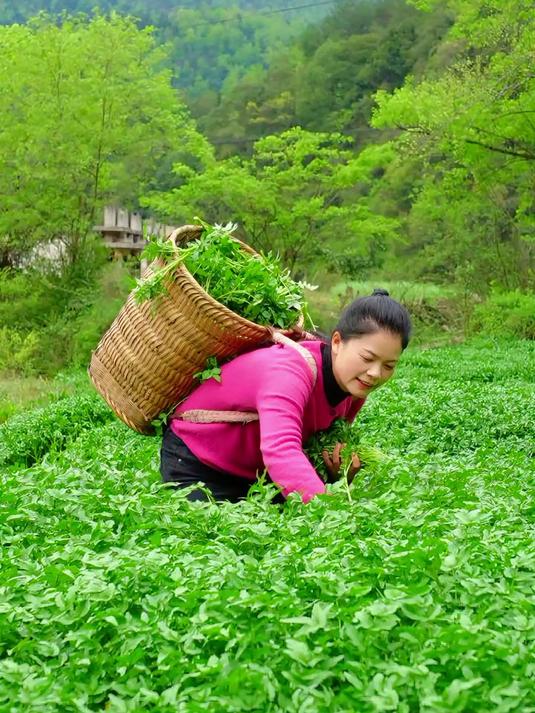 打开春天的新鲜方式，这些野菜你吃过几种