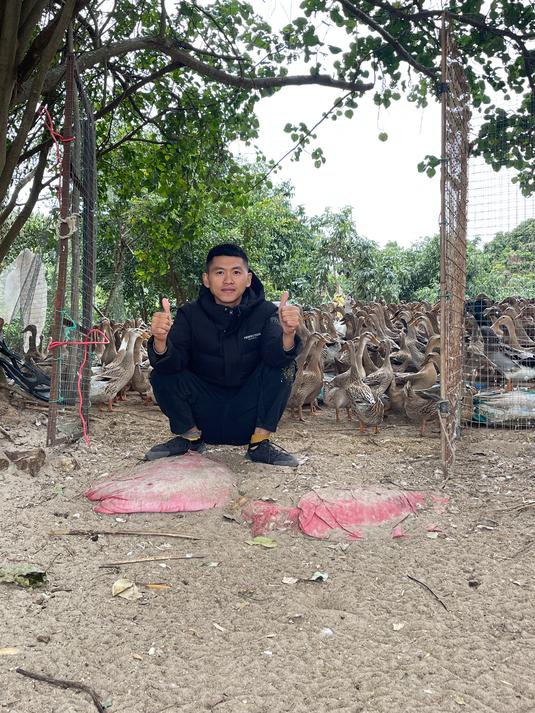 回到长大的小地方放鸭子,是你想要的么