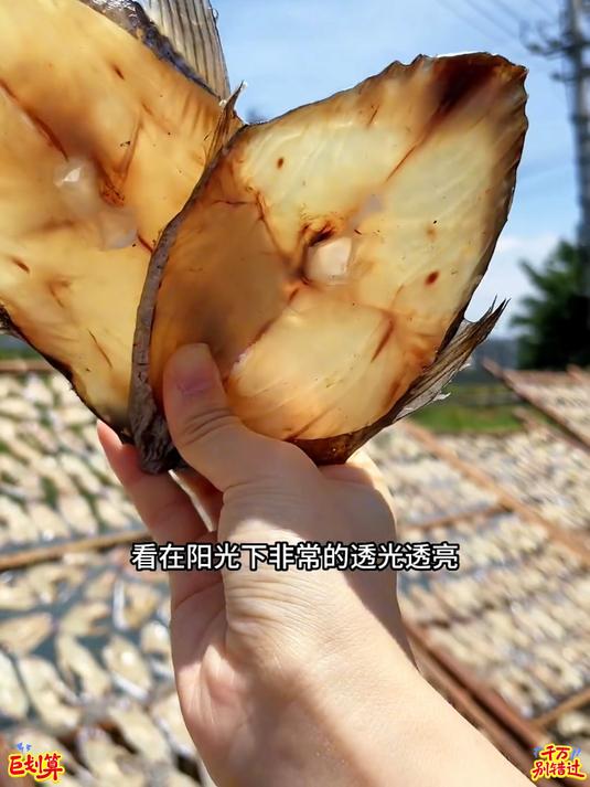 东海马鲛鱼干咸鱼干配粥配饭津津有味#海鲜干货_#马鲛鱼_#海鲜