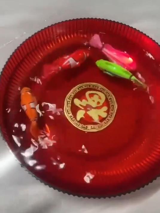 仿真神奇电动鱼，便宜实惠又安全，戏水洗澡超享受！