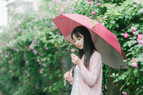 图片[5]-雨中蔷薇-六色网