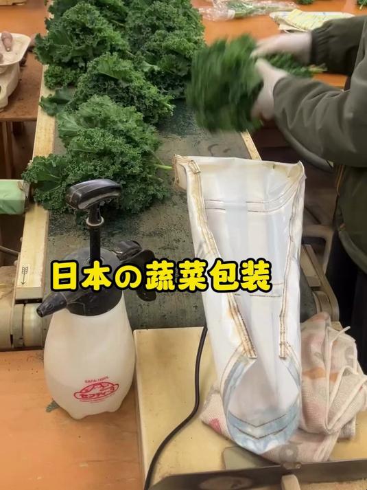 #日本##日料探店# #菜##菜价#