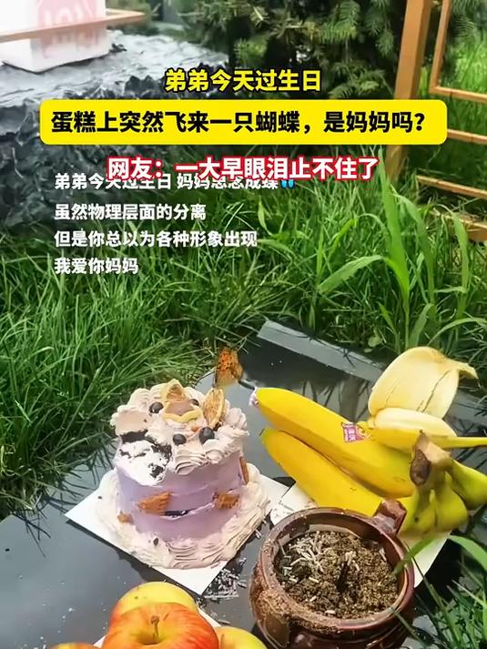 弟弟今天过生日,蛋糕上突然飞来一只蝴蝶,是妈妈吗?