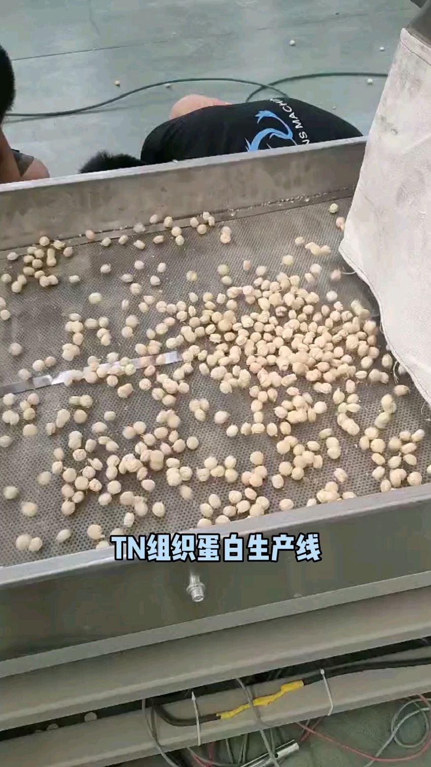 拉丝蛋白素肉是什么机器设备加工的?速冻水饺馅料添加生产拉丝蛋白生产线