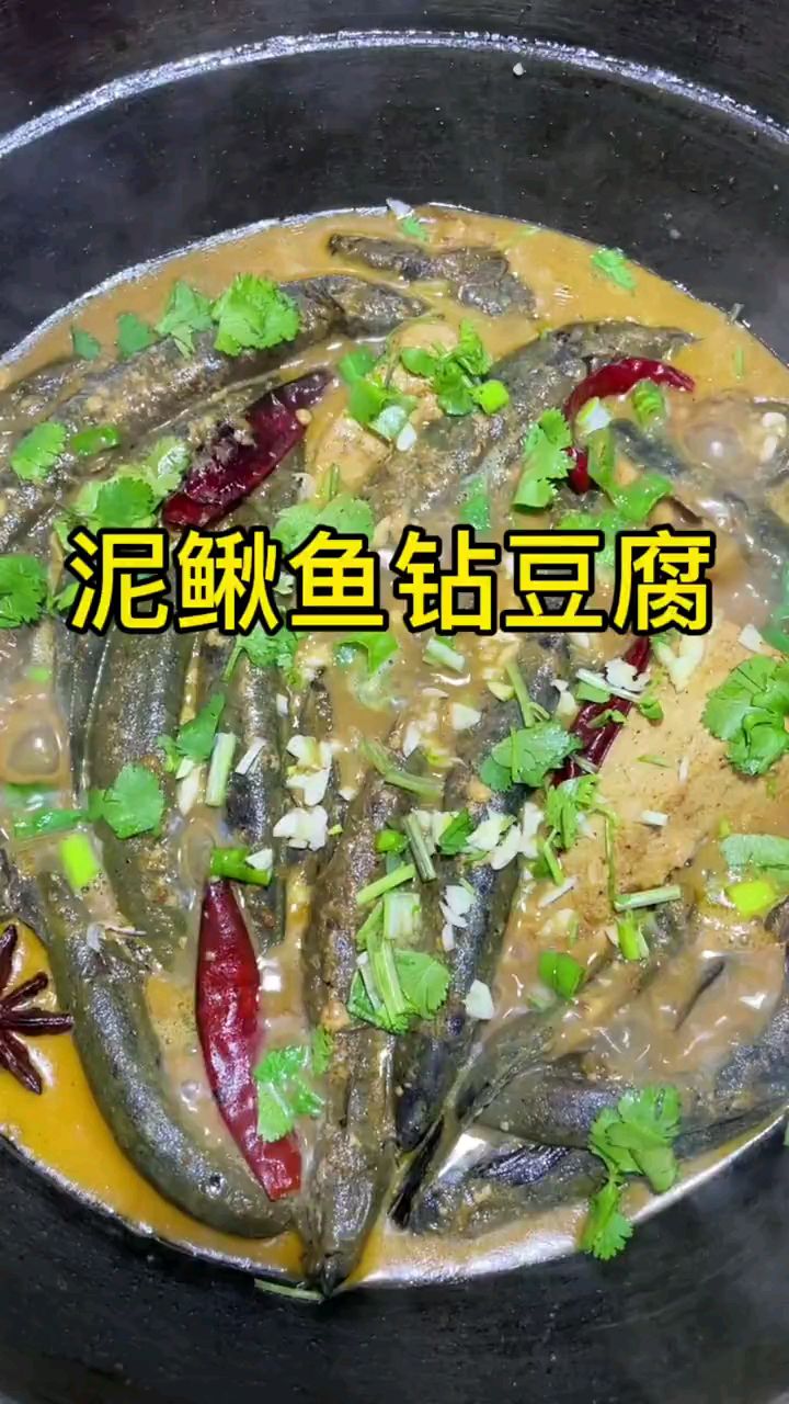泥鳅鱼钻豆腐,有没有不敢吃泥鳅鱼的