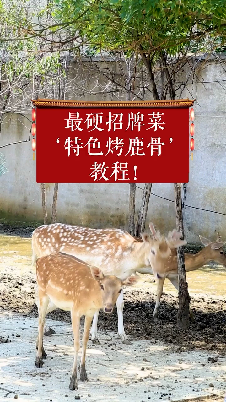 全鹿宴之烤鹿骨的做法