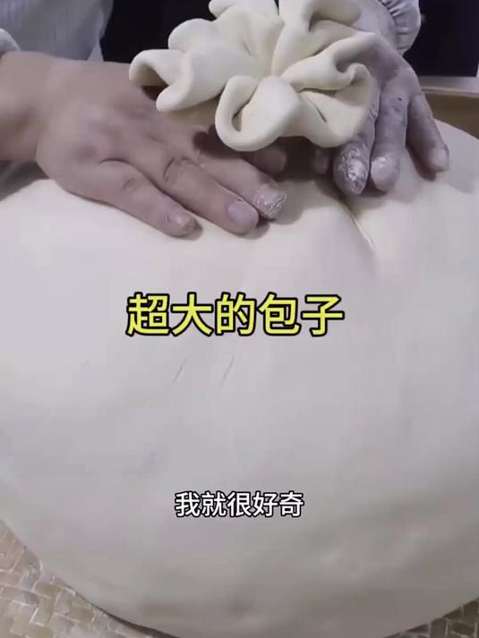 超大的包子