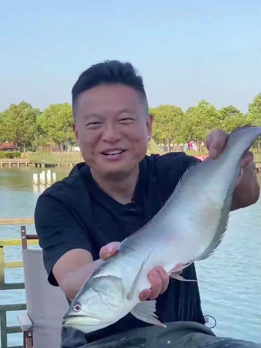 家喻户晓的观赏鱼，学名双须骨舌鱼，又被称为银龙鱼