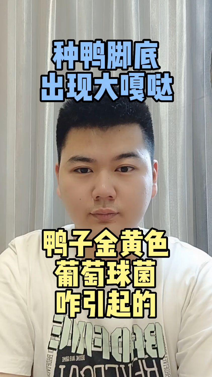 #鸭子脚长疙瘩是什么鸭子脚长疙瘩是什么引起的鸭子脚板上有包是怎么回事