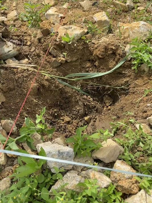 花500元搭一个用20年的鸡窝看一下是怎么搭的