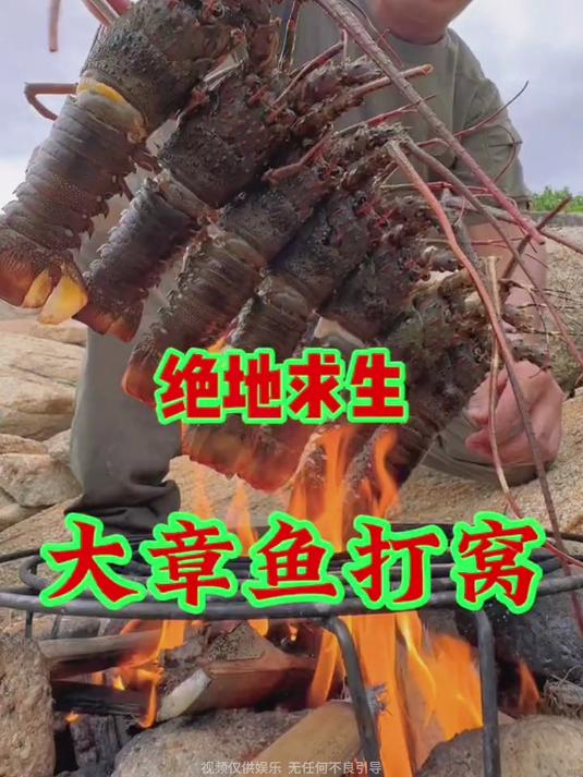 今天直接来个炭烤龙虾!