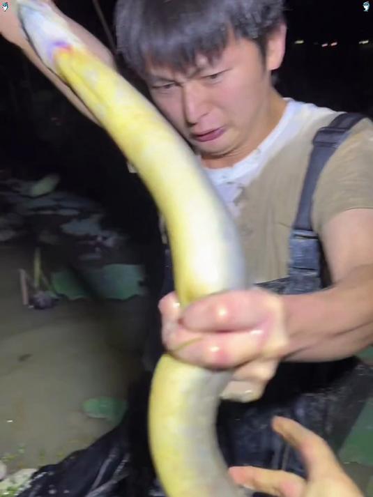 接下来我将继续在广东挑战巨物，没想到钓鳝鱼也是如此过瘾啊