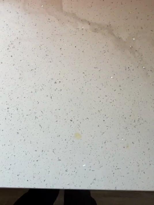 我有一个很大的小鱼缸……但是养斗鱼真的太难了