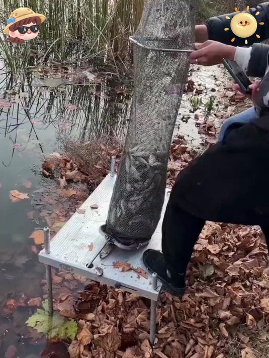 渔具包变 “凶器”!鲜丹饵料钓太多鱼,背包重到拉伤腰肌