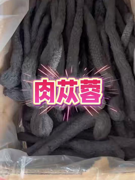 肉丛蓉泡水煲汤泡酒#肉苁蓉泡水##泡水补阳气##滋补养生##养生必备##男人加油站##养生