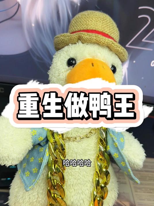 我决定了我要重生做鸭王
