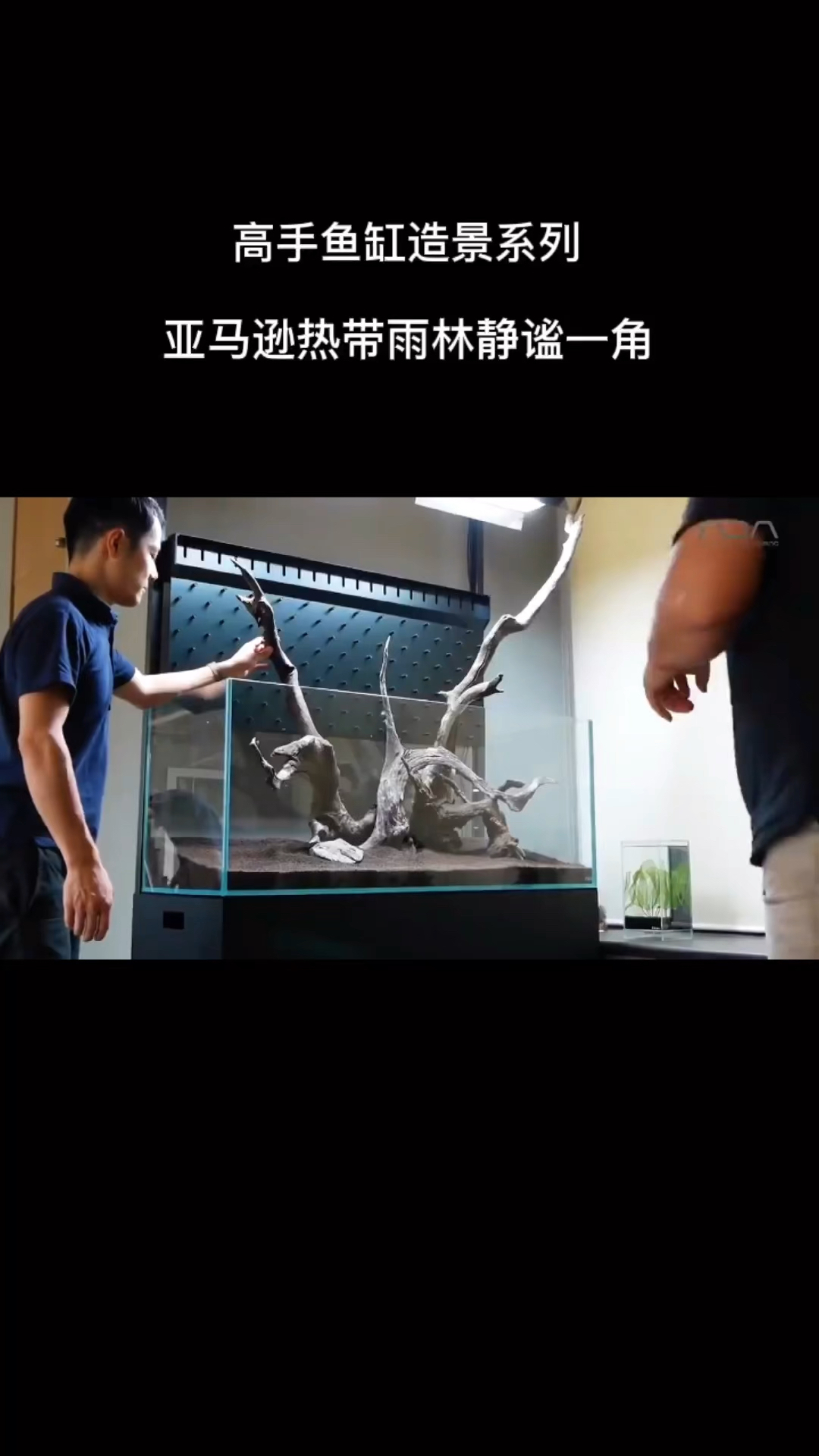 ADA出现了,这景儿就注定不凡