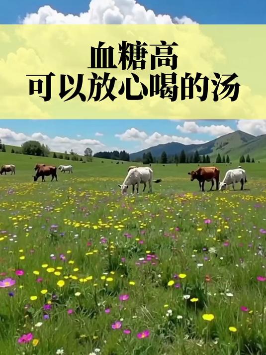 血糖高，可以放心喝的汤