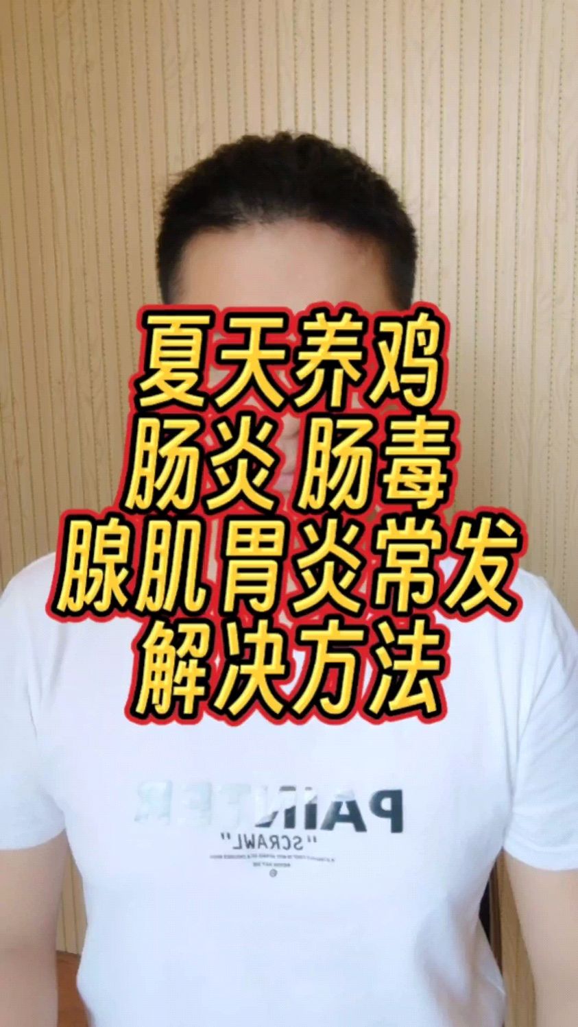 鸡肌胃炎的最佳治疗方法 鸡腺肌胃炎用什么药最好 鸡的腺胃炎是怎么引起的