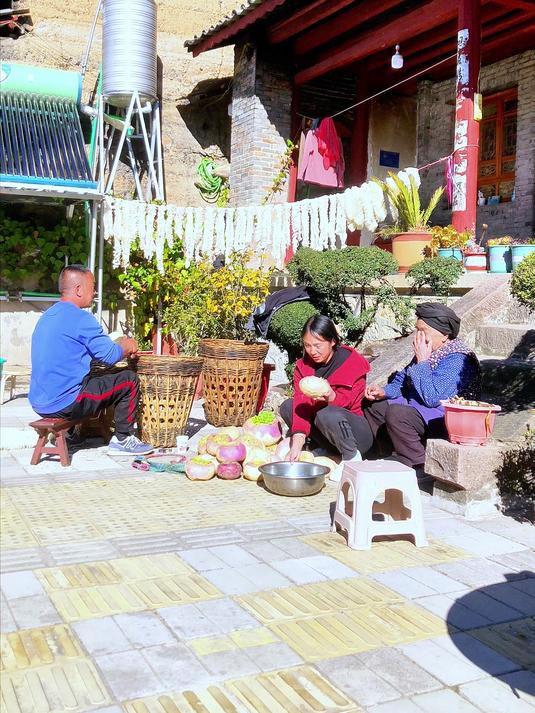 与蔓菁菜的邂逅:拔叶、摘芽,烹出暖心美味