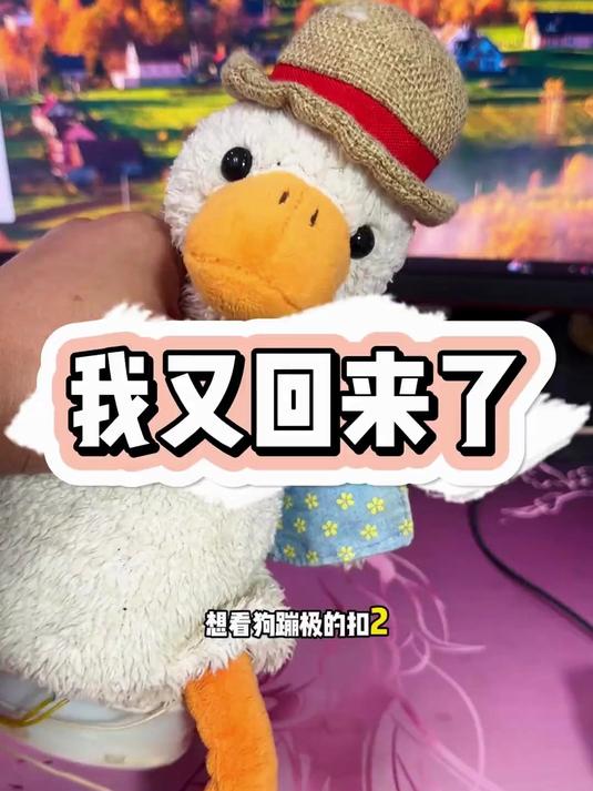 新号第一条视频我看看几个人能找到我_暴躁老秦_复读鸭_复读鸭搞笑视频_老秦呀_毛绒玩具