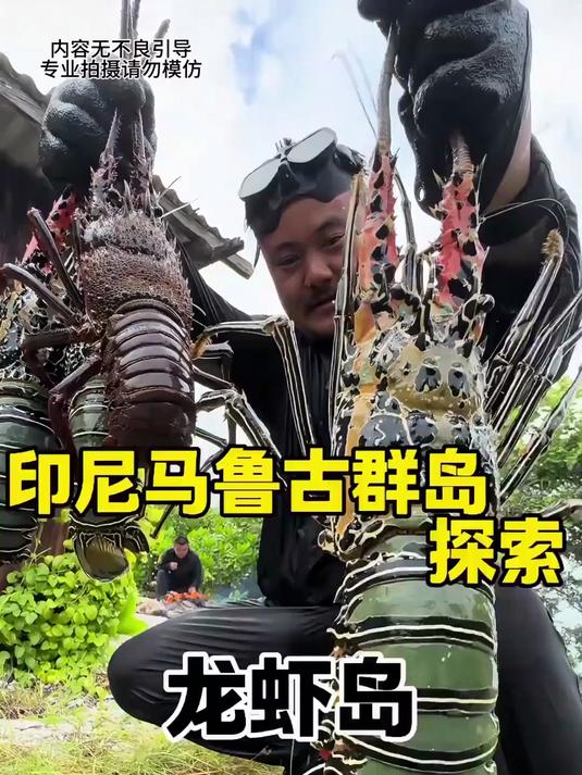 95. 在印尼马鲁古群岛探索龙虾岛,实现龙虾自由